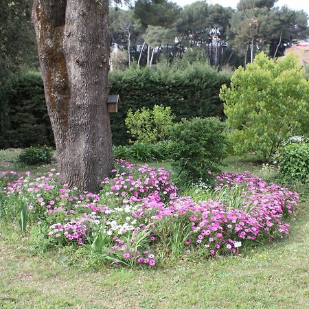 Apartmán Ecole Buissonniere Antibes Exteriér fotografie