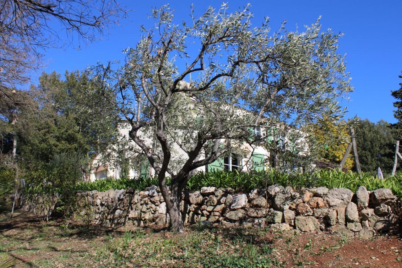 Apartmán Ecole Buissonniere Antibes Exteriér fotografie