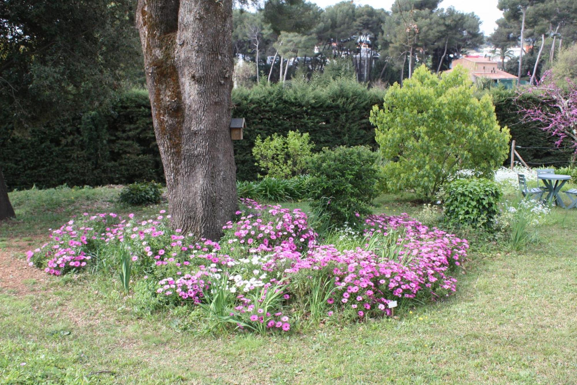 Apartmán Ecole Buissonniere Antibes Exteriér fotografie